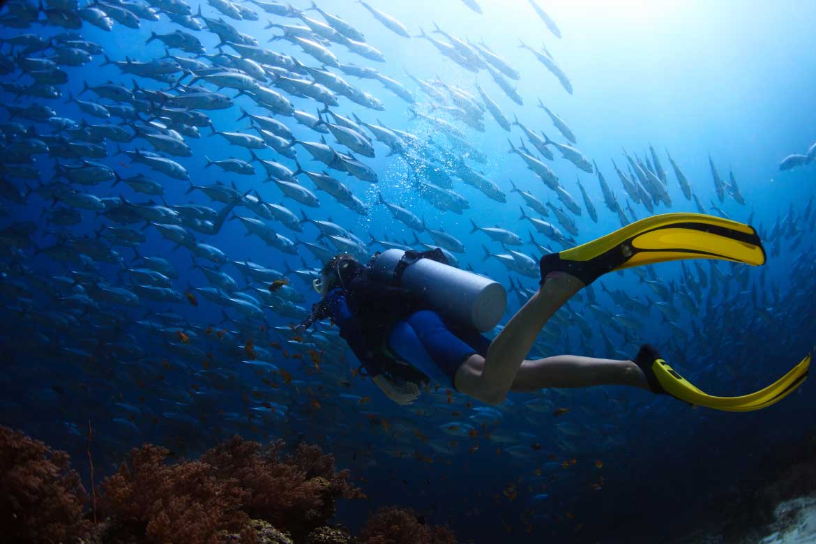 Redemption-scuba-3